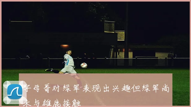 字母哥对绿军表现出兴趣但绿军尚未与雄鹿接触