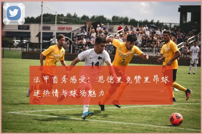 法甲首秀感受：恩德里克赞里昂球迷热情与球场魅力